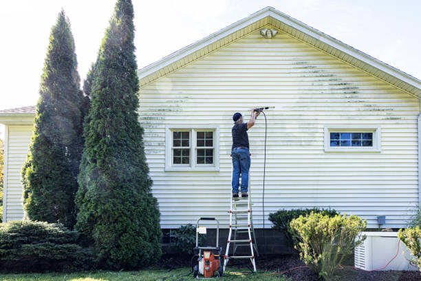 Spring Cleaning in Seffner, FL